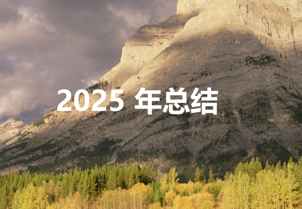 2025总结